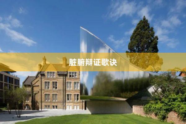 脏腑辩证歌诀
